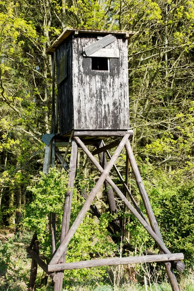 stock image High seat at forest edge