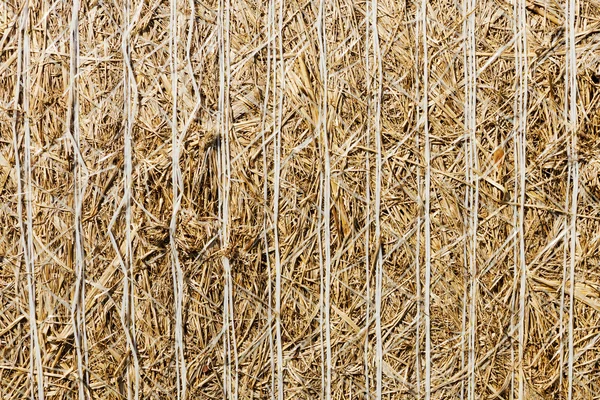 Bale of straw closeup — Stok fotoğraf