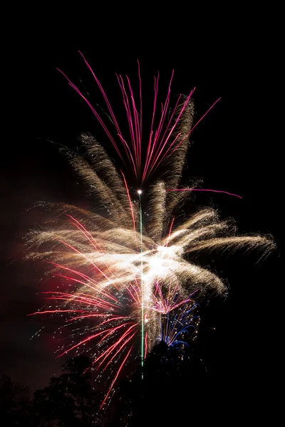 stock image Colorful fireworks