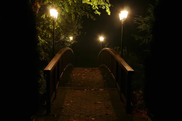 stock image Bridge in the night