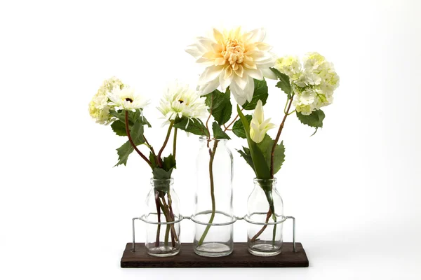 Still life flowers — Stock Photo, Image