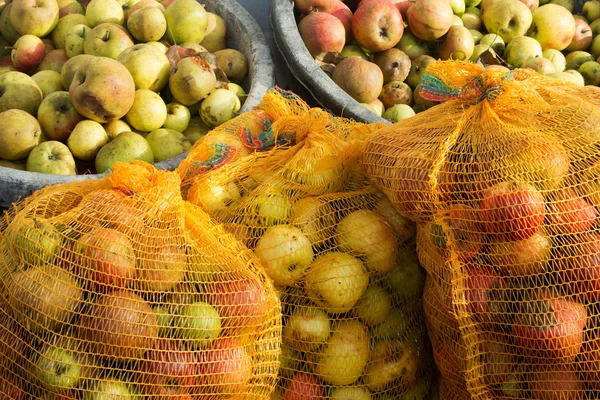 stock image Many apples