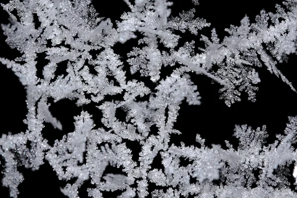 Kar kristalleri — Stok fotoğraf