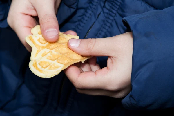 Waffle in hands — Stock Photo, Image