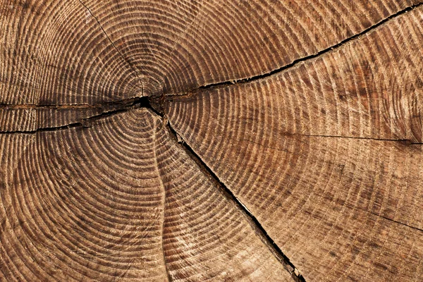 Textura de madera redondeada —  Fotos de Stock