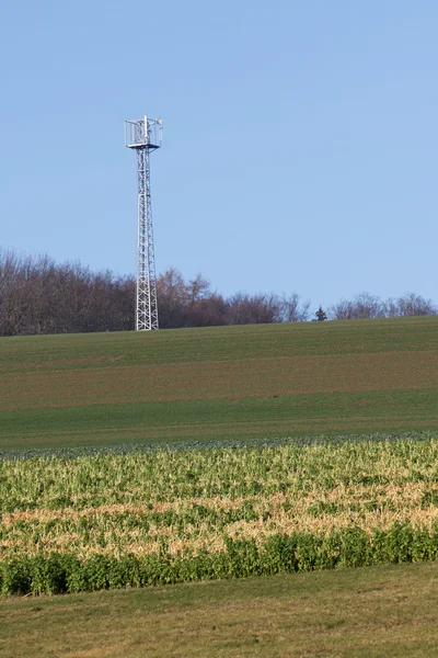 Stock image Cell tower