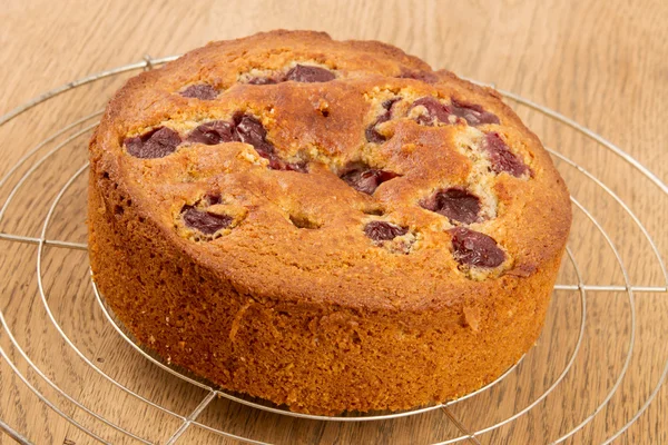 stock image Cake with cherries