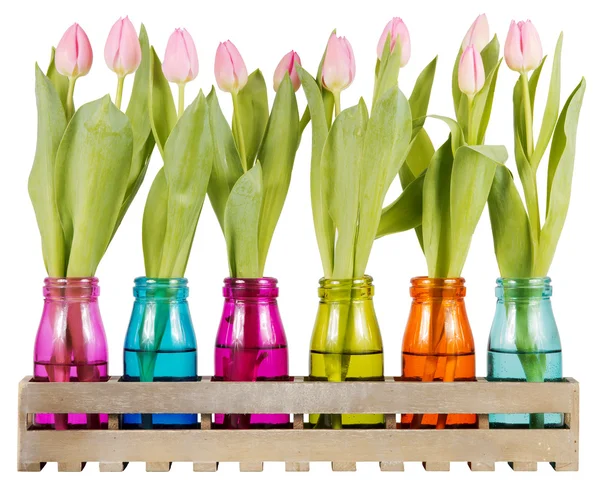 Розовые тюльпаны в цветных вазах — стоковое фото