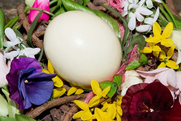 Wielkanocny koszyk zbliżenie — Zdjęcie stockowe