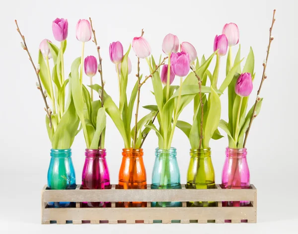 Pink and purple tulips — Stock Photo, Image