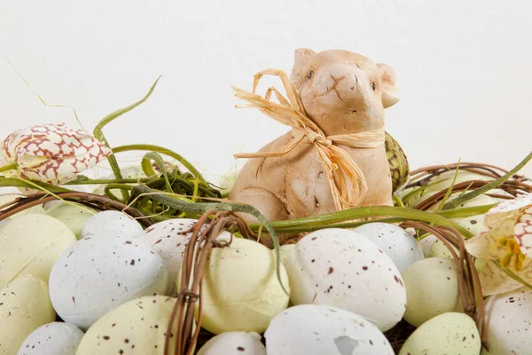 Easter bunny on eggs — Stock Photo, Image