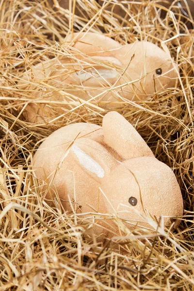 Two Easter bunnies — Stock Photo, Image