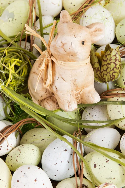 Пасхальный кролик на яйцах — стоковое фото