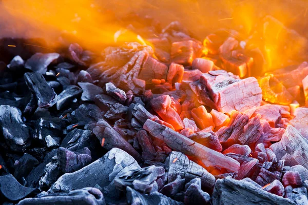 stock image Blaze closeup