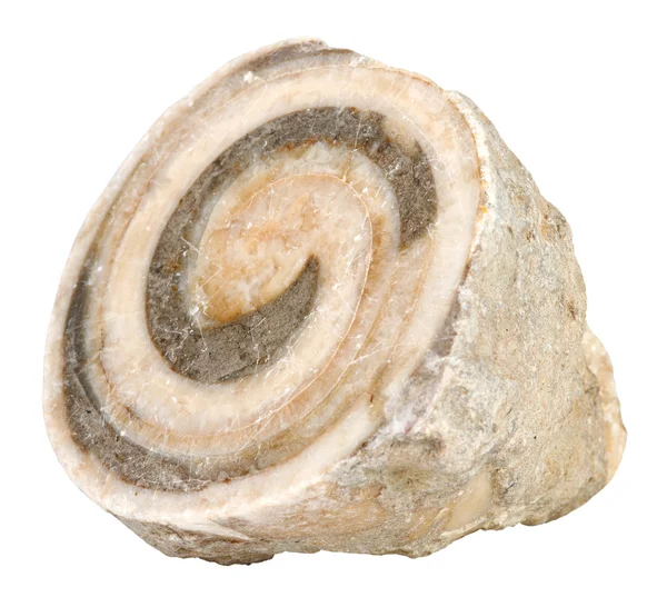 Mineral stone — Stock Photo, Image