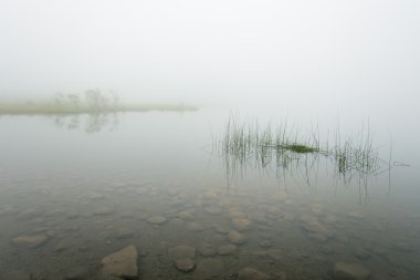 Lake ercina, lagos de covadonga, asturias, İspanya