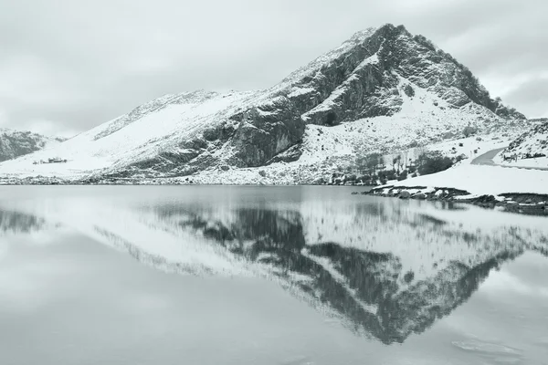 Enol jezero, asturias, Španělsko — Stock fotografie