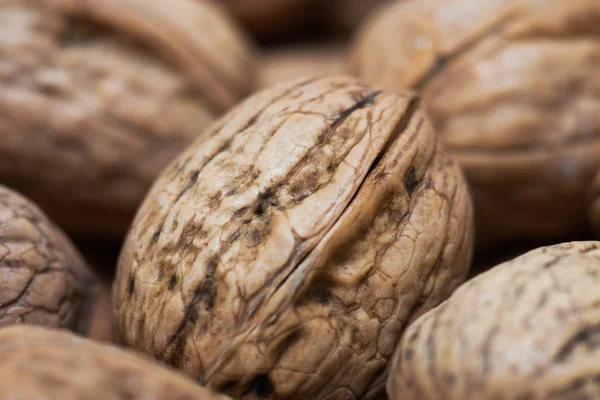 stock image Walnuts