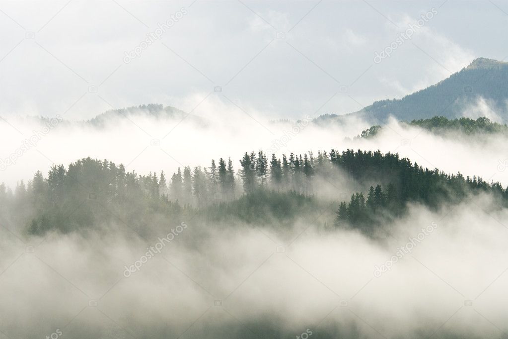 Fog in the mountains of Avellaneda, Bizkaia, Spain