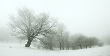 urbasa, panoramik