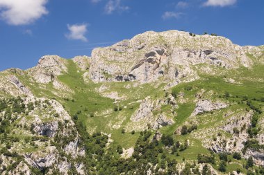 milli park picos de europa