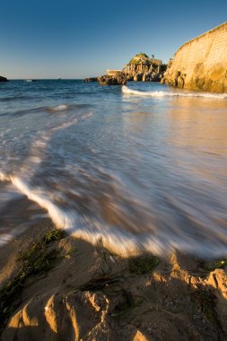 Camel beach in Santander, Cantabria, Spain clipart