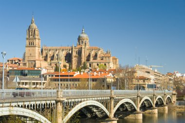 View of Salamanca, Castilla y Leon (Spain) clipart