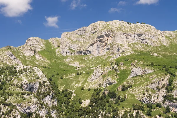 Parque Nacional dos Picos de Europa — Fotografia de Stock