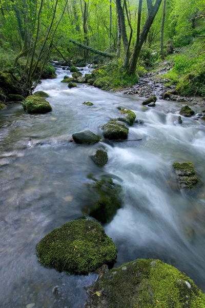 Řeka iraty v pirenees, Francie — Stock fotografie