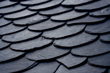 Black roof, Las Omañas, Leon, Spain