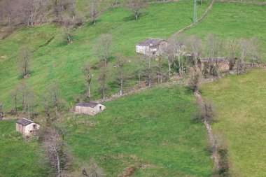 Vega del pas, cantabria, İspanya