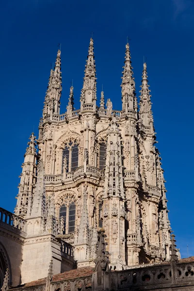 Toren van de kathedraal van burgos, castilla y leon, Spanje — Stockfoto