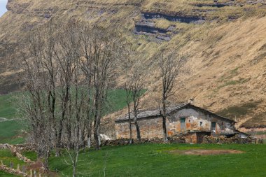 Vega del pas, cantabria, İspanya