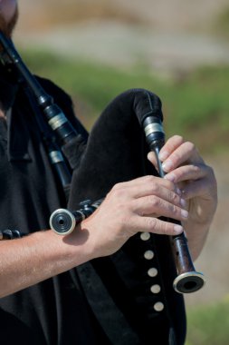 Piper in La Coruña, Galicia, Spain