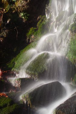 saja-besaya doğal park, cantabria, İspanya