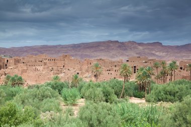 tinerhir, Fas Oasis