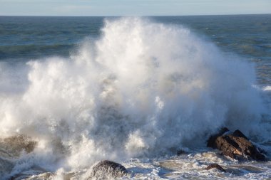 Deniz biarritz, aquitaine, Fransa