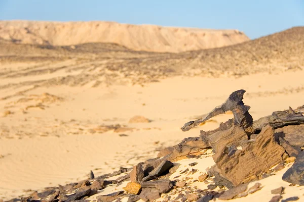 Siyah çöl, Mısır — Stok fotoğraf