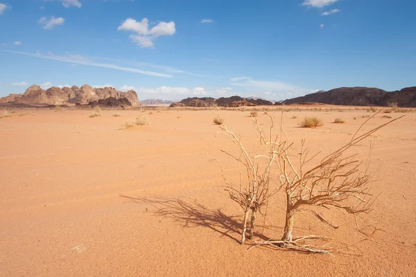 Deserto di Wadi Rum — Foto Stock