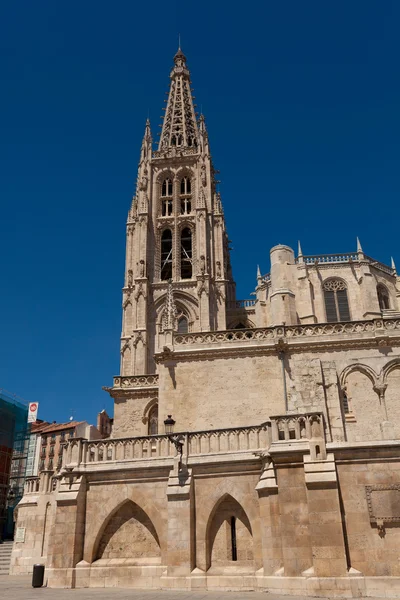 Katedral Burgos, castilla y leon, İspanya — Stok fotoğraf
