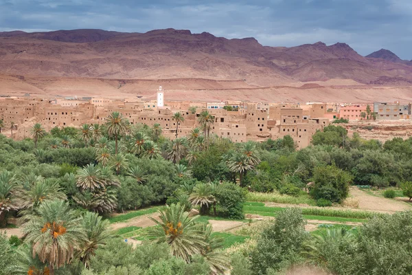 Oase van tinerhir, Marokko — Stockfoto
