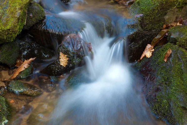 Saja-Besaya natural park, Cantabria, Spain — Stock Photo, Image