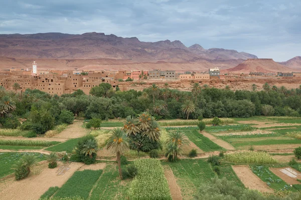 Oas av tinerhir, Marocko — Stockfoto