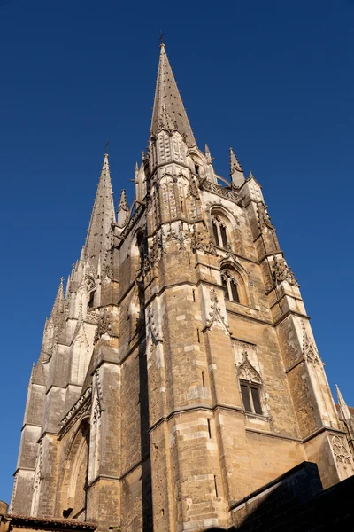 Cathedral of Bayona, Pirenees Atlantiques, France — Stock Photo, Image
