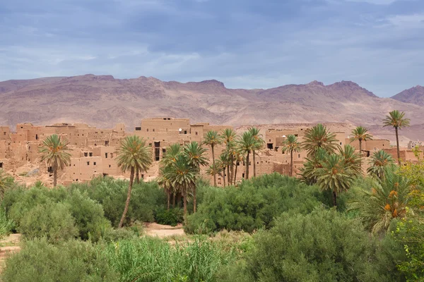 Oas av tinerhir, Marocko — Stockfoto