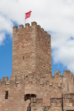 Castle, javier, navarra, İspanya