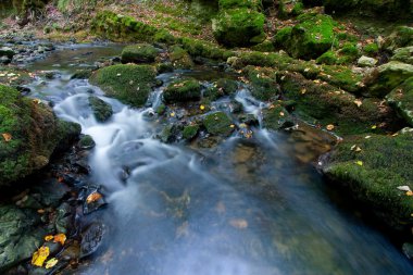 pisas, merindades, burgos, castilla y leon, İspanya