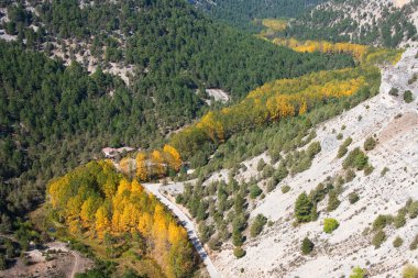 Kanyon nehir Kurtlar, soria, castilla y leon, İspanya