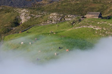 Estacas de Trueba Limanı, Cantabria, İspanya