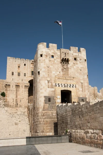 Citadel of Alepo, Syria — Stock Photo, Image